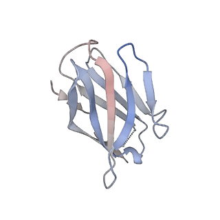 15395_8afe_I_v1-1
Cryo-EM structure of crescentin filaments (stutter mutant, C1 symmetry and small box)