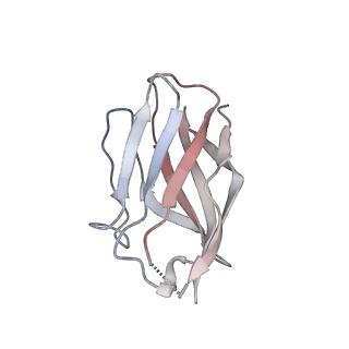 15395_8afe_J_v1-0
Cryo-EM structure of crescentin filaments (stutter mutant, C1 symmetry and small box)