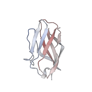 15395_8afe_J_v1-1
Cryo-EM structure of crescentin filaments (stutter mutant, C1 symmetry and small box)