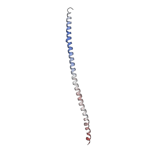 15398_8afh_A_v1-1
Cryo-EM structure of crescentin filaments (stutter mutant, C2, symmetry and small box)