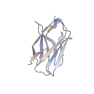 15398_8afh_C_v1-0
Cryo-EM structure of crescentin filaments (stutter mutant, C2, symmetry and small box)