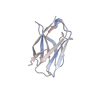 15398_8afh_C_v1-1
Cryo-EM structure of crescentin filaments (stutter mutant, C2, symmetry and small box)