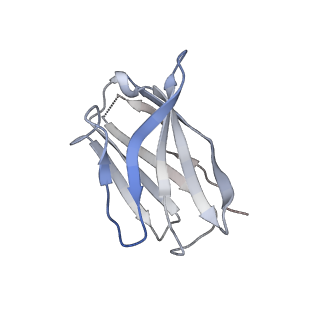 15398_8afh_D_v1-0
Cryo-EM structure of crescentin filaments (stutter mutant, C2, symmetry and small box)