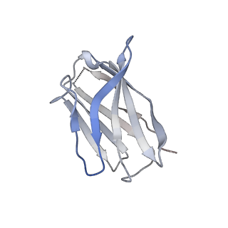 15398_8afh_D_v1-1
Cryo-EM structure of crescentin filaments (stutter mutant, C2, symmetry and small box)