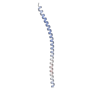 15398_8afh_F_v1-1
Cryo-EM structure of crescentin filaments (stutter mutant, C2, symmetry and small box)