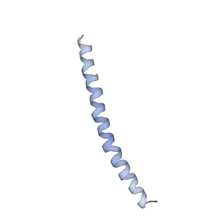 15398_8afh_G_v1-0
Cryo-EM structure of crescentin filaments (stutter mutant, C2, symmetry and small box)