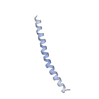 15398_8afh_G_v1-1
Cryo-EM structure of crescentin filaments (stutter mutant, C2, symmetry and small box)