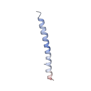 15398_8afh_H_v1-0
Cryo-EM structure of crescentin filaments (stutter mutant, C2, symmetry and small box)