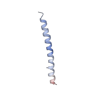 15398_8afh_H_v1-1
Cryo-EM structure of crescentin filaments (stutter mutant, C2, symmetry and small box)