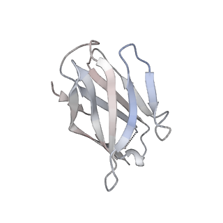 15398_8afh_I_v1-0
Cryo-EM structure of crescentin filaments (stutter mutant, C2, symmetry and small box)