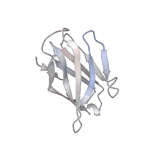 15398_8afh_I_v1-1
Cryo-EM structure of crescentin filaments (stutter mutant, C2, symmetry and small box)