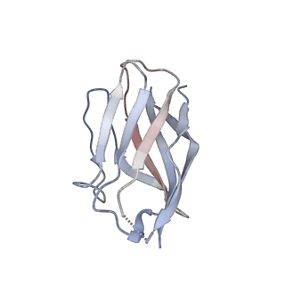 15398_8afh_J_v1-0
Cryo-EM structure of crescentin filaments (stutter mutant, C2, symmetry and small box)