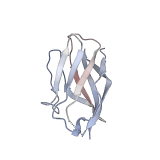 15398_8afh_J_v1-1
Cryo-EM structure of crescentin filaments (stutter mutant, C2, symmetry and small box)