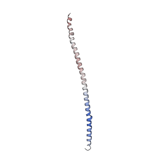 15398_8afh_K_v1-0
Cryo-EM structure of crescentin filaments (stutter mutant, C2, symmetry and small box)