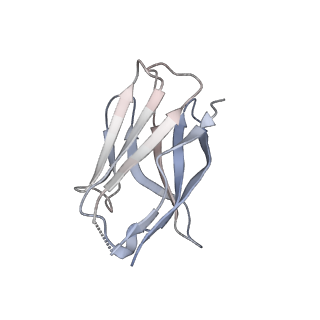 15398_8afh_M_v1-0
Cryo-EM structure of crescentin filaments (stutter mutant, C2, symmetry and small box)