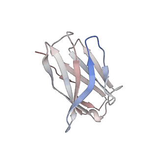 15398_8afh_N_v1-0
Cryo-EM structure of crescentin filaments (stutter mutant, C2, symmetry and small box)