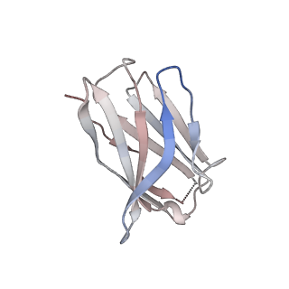 15398_8afh_N_v1-1
Cryo-EM structure of crescentin filaments (stutter mutant, C2, symmetry and small box)