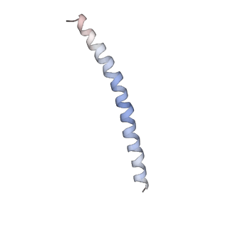 15398_8afh_Q_v1-0
Cryo-EM structure of crescentin filaments (stutter mutant, C2, symmetry and small box)