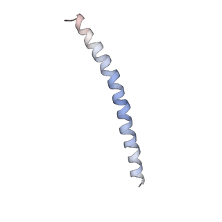 15398_8afh_Q_v1-1
Cryo-EM structure of crescentin filaments (stutter mutant, C2, symmetry and small box)