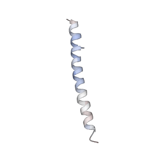 15398_8afh_R_v1-1
Cryo-EM structure of crescentin filaments (stutter mutant, C2, symmetry and small box)