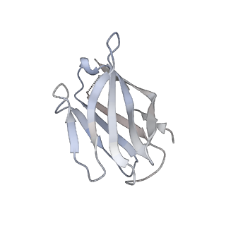 15398_8afh_S_v1-0
Cryo-EM structure of crescentin filaments (stutter mutant, C2, symmetry and small box)