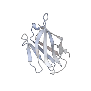 15398_8afh_S_v1-1
Cryo-EM structure of crescentin filaments (stutter mutant, C2, symmetry and small box)