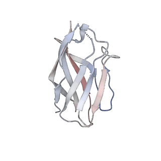 15398_8afh_T_v1-0
Cryo-EM structure of crescentin filaments (stutter mutant, C2, symmetry and small box)