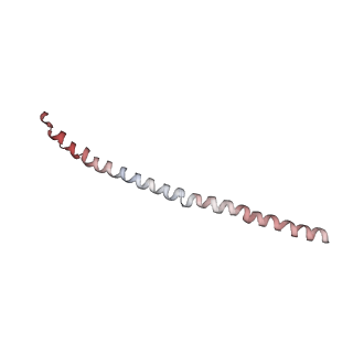 15401_8afl_B_v1-1
Cryo-EM structure of crescentin filaments (wildtype, C1 symmetry and small box)