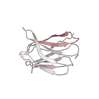 15401_8afl_C_v1-1
Cryo-EM structure of crescentin filaments (wildtype, C1 symmetry and small box)