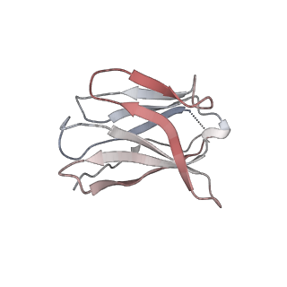 15402_8afm_C_v1-0
Cryo-EM structure of crescentin filaments (wildtype, C2 symmetry and small box)