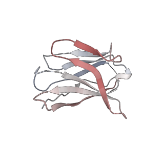 15402_8afm_C_v1-1
Cryo-EM structure of crescentin filaments (wildtype, C2 symmetry and small box)