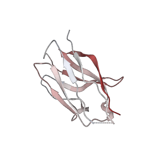 15402_8afm_D_v1-0
Cryo-EM structure of crescentin filaments (wildtype, C2 symmetry and small box)