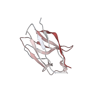 15402_8afm_D_v1-1
Cryo-EM structure of crescentin filaments (wildtype, C2 symmetry and small box)