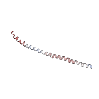 15402_8afm_H_v1-0
Cryo-EM structure of crescentin filaments (wildtype, C2 symmetry and small box)