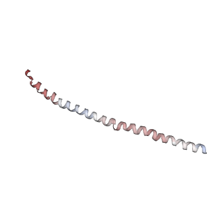 15402_8afm_H_v1-1
Cryo-EM structure of crescentin filaments (wildtype, C2 symmetry and small box)