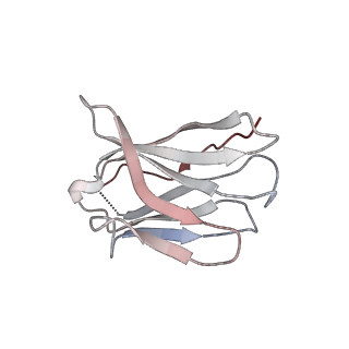 15402_8afm_I_v1-1
Cryo-EM structure of crescentin filaments (wildtype, C2 symmetry and small box)