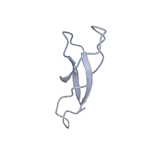 2847_5afi_1_v1-3
2.9A Structure of E. coli ribosome-EF-TU complex by cs-corrected cryo-EM