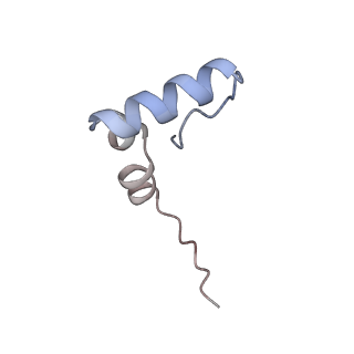 2847_5afi_2_v1-3
2.9A Structure of E. coli ribosome-EF-TU complex by cs-corrected cryo-EM