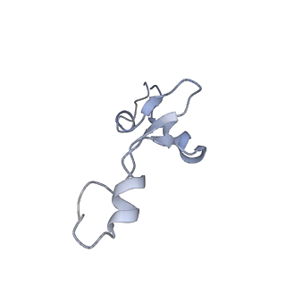 2847_5afi_3_v1-3
2.9A Structure of E. coli ribosome-EF-TU complex by cs-corrected cryo-EM