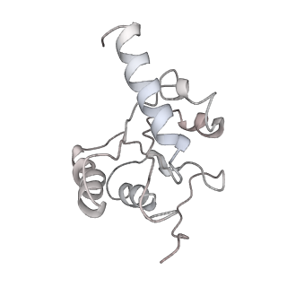 2847_5afi_5_v1-3
2.9A Structure of E. coli ribosome-EF-TU complex by cs-corrected cryo-EM
