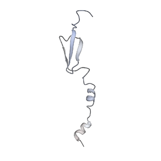 2847_5afi_6_v1-3
2.9A Structure of E. coli ribosome-EF-TU complex by cs-corrected cryo-EM