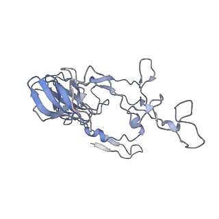 2847_5afi_C_v1-3
2.9A Structure of E. coli ribosome-EF-TU complex by cs-corrected cryo-EM
