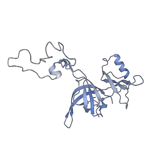 2847_5afi_D_v1-3
2.9A Structure of E. coli ribosome-EF-TU complex by cs-corrected cryo-EM