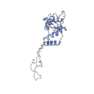 2847_5afi_E_v1-3
2.9A Structure of E. coli ribosome-EF-TU complex by cs-corrected cryo-EM