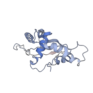 2847_5afi_F_v1-3
2.9A Structure of E. coli ribosome-EF-TU complex by cs-corrected cryo-EM