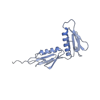 2847_5afi_G_v1-3
2.9A Structure of E. coli ribosome-EF-TU complex by cs-corrected cryo-EM