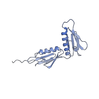 2847_5afi_G_v2-0
2.9A Structure of E. coli ribosome-EF-TU complex by cs-corrected cryo-EM