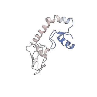 2847_5afi_H_v1-3
2.9A Structure of E. coli ribosome-EF-TU complex by cs-corrected cryo-EM