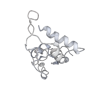 2847_5afi_I_v1-3
2.9A Structure of E. coli ribosome-EF-TU complex by cs-corrected cryo-EM