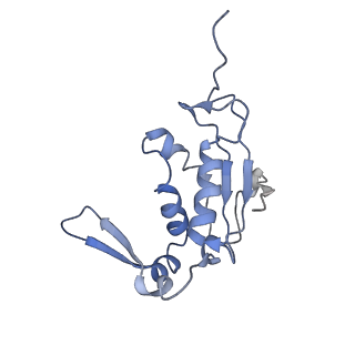 2847_5afi_J_v1-3
2.9A Structure of E. coli ribosome-EF-TU complex by cs-corrected cryo-EM